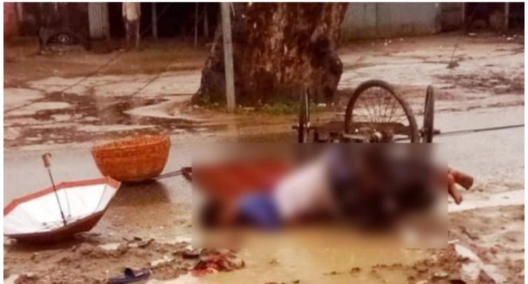 চলন্ত ভ্যানে বিদ্যুতের তার পড়ে চালকসহ প্রাণ গেলো দুজনের