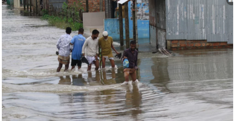সিলেটে বন্যা: শুধু মৎস্য খাতে ক্ষতি ২৬ কোটি টাকা