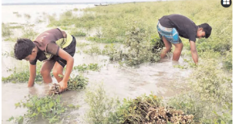 পাহাড়ি ঢল ও নদীর পানি বৃদ্ধিতে তলিয়ে যাচ্ছে নিম্নাঞ্চল