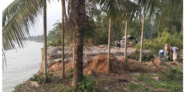টাঙ্গাইলে যমুনার ভাঙনে বিলীন ৫ শতাধিক ঘর-বাড়ি
