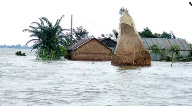 সিলেটে বন্যা: কৃষিতে ক্ষতি ছাড়িয়েছে শত কোটি টাকা