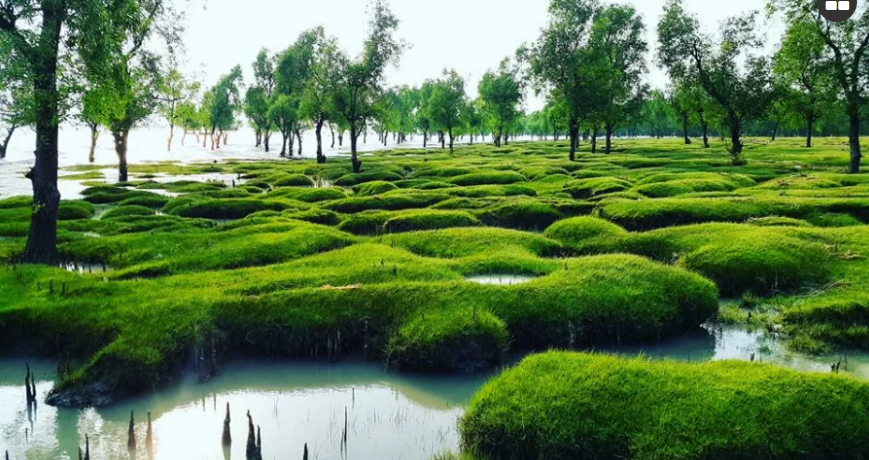 সীতাকুণ্ডের গুলিয়াখালী সি-বিচে পর্যটকের সমাগম বাড়ছে