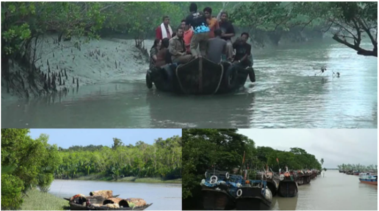 সুন্দরবনে ৩ মাস মাছ আহরণ ও পর্যটক প্রবেশ নিষিদ্ধ