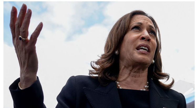 যুক্তরাষ্ট্রে আগ্নেয়াস্ত্র নিষিদ্ধের আহ্বান কমলা হ্যারিসের