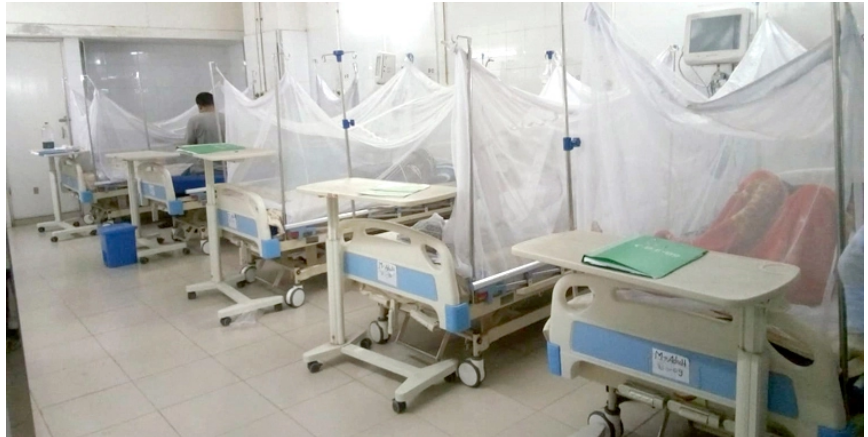 ২৪ ঘণ্টায় হাসপাতালে ভর্তি ১৪ ডেঙ্গুরোগী