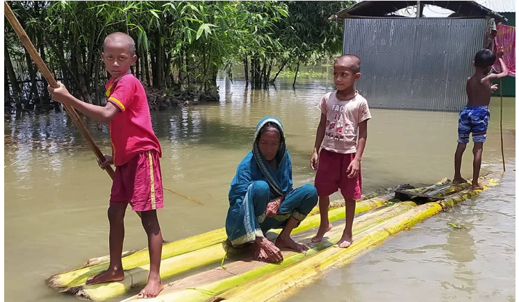 ডুবে আছে ঘর-বাড়ি, ভাসছেন তিস্তা ও ধরলা পাড়ের মানুষ!
