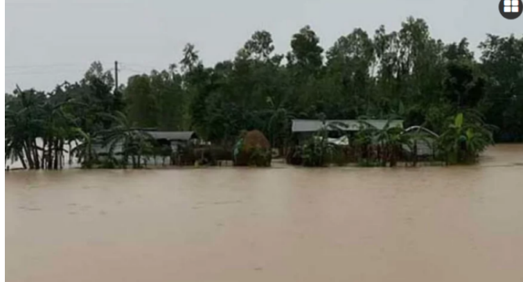 নেত্রকোনায় বন্যায় রোপা আমন আবাদ বিঘ্নিত, বিপাকে কৃষক