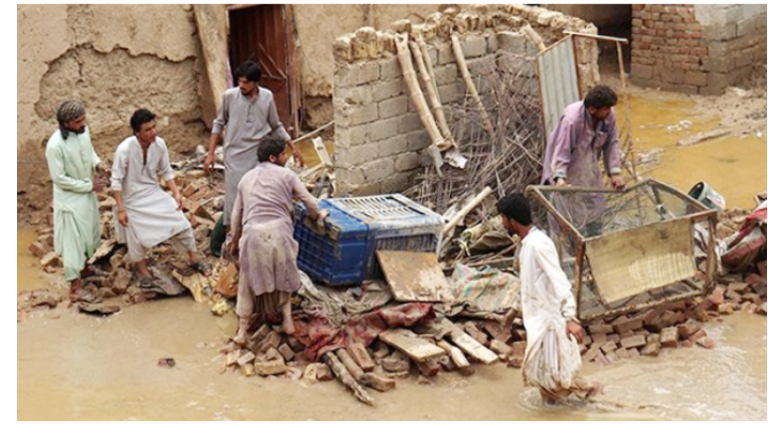 পাকিস্তানে প্রবল বর্ষণে ৭৭ জনের প্রাণহানি