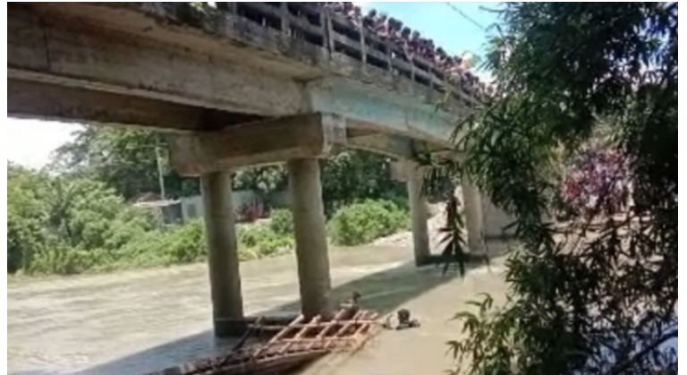 ধলেশ্বরীতে ট্রলার ডুবে মারা গেলো ৭ গরু