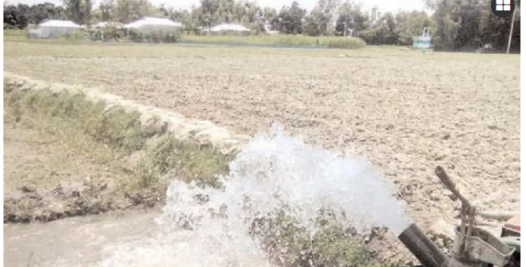 গঙ্গাচড়ায় খরার কবলে আমন আবাদ