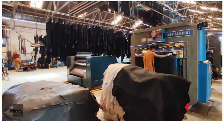 লবণ ও শ্রমিকের মূল্য বৃদ্ধিতে অস্বস্তিতে চামড়া ব্যবসায়ীরা