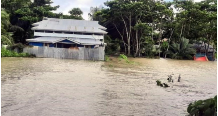 জোয়ারের পানিতে ভাসছে রাবনাবাদপাড়ের শত শত পরিবার