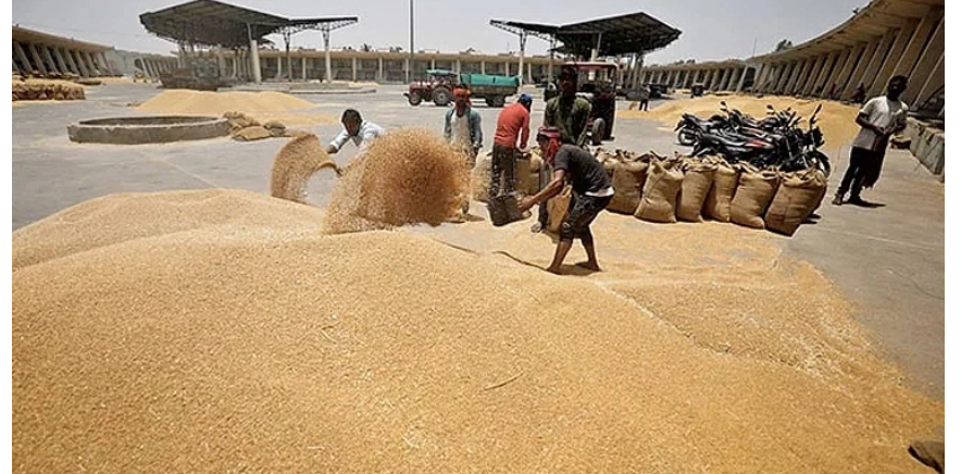 ফের গম রপ্তানি শুরু করেছে ভারত