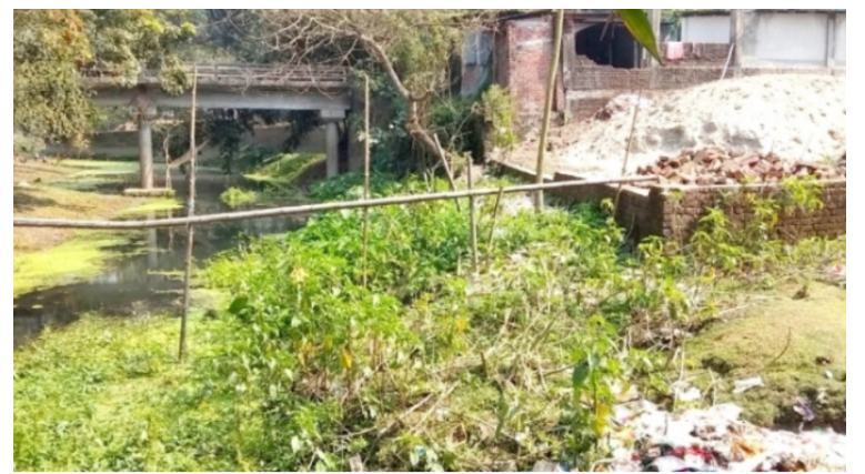 দখল-দূষণে অস্তিত্ব সংকটে ডোমারের শালকি নদী