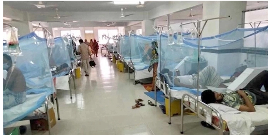 ডেঙ্গু আক্রান্ত হয়ে একদিনে হাসপাতালে ৭০ জন