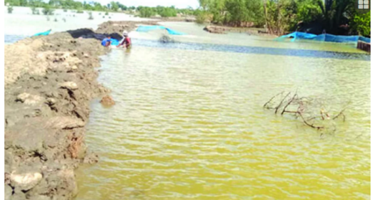 পাইকগাছায় দখল হয়ে যাচ্ছে শিবসা নদী