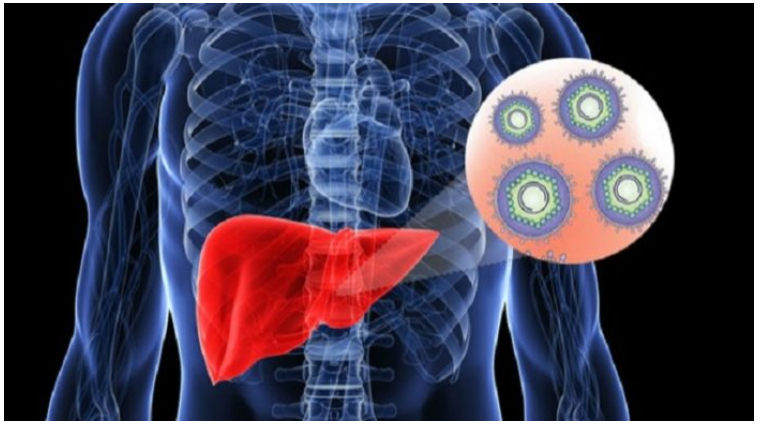 আজ বিশ্ব হেপাটাইটিস দিবস