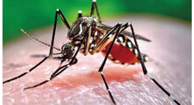 আরও ২৪৫ ডেঙ্গু রোগী হাসপাতালে ভর্তি, মৃত্যু এক