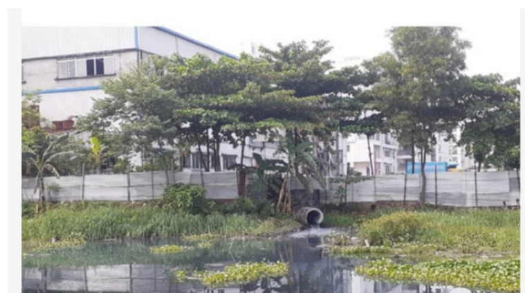 কারখানার দূষিত পানিতে নষ্ট হচ্ছে ফসল, মরছে মাছ