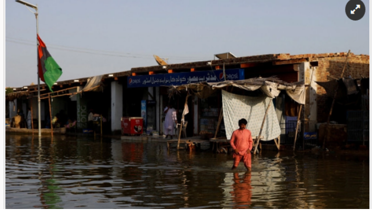 পাকিস্তানের অনেক অংশকে সমুদ্র মনে হচ্ছে: শাহবাজ শরিফ
