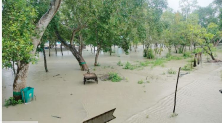 উপকূলে বৃষ্টিপাত ও ঝড়ো হাওয়া, সুন্দরবনে ৩ ফুট পানি