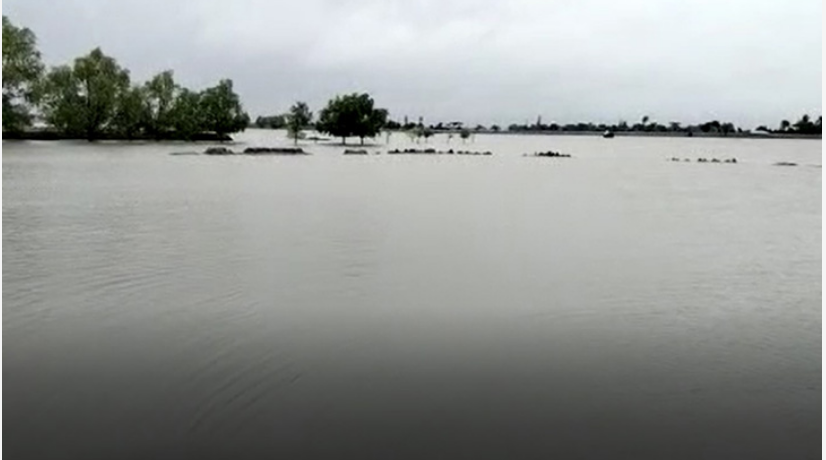 সাতক্ষীরায় ৩৫ পয়েন্টে ৬২ কিলোমিটার বেড়িবাঁধ ঝুঁকিতে