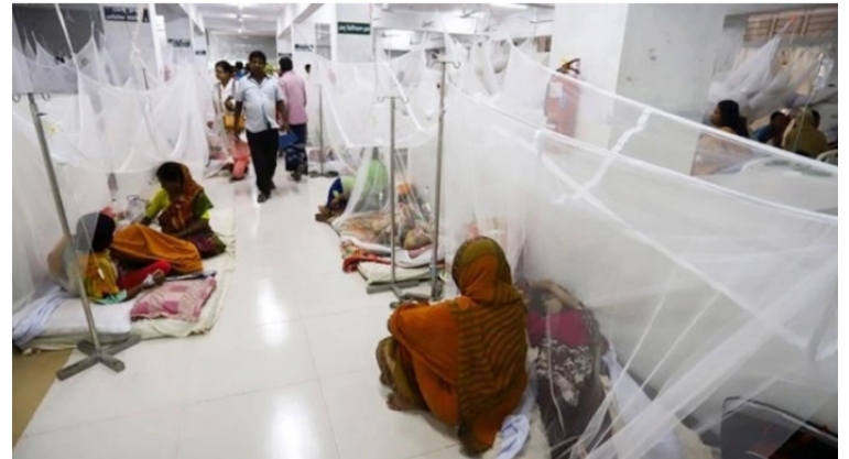 ডেঙ্গুতে আরও একজনের মৃত্যু, হাসপাতালে ৩৯৫