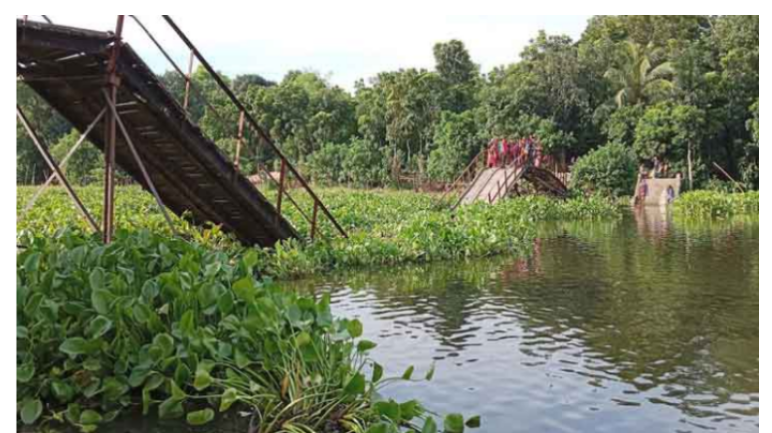 কাঠের সেতু ভেঙে পড়ায় এলাকাবাসীর দুর্ভোগ চরমে