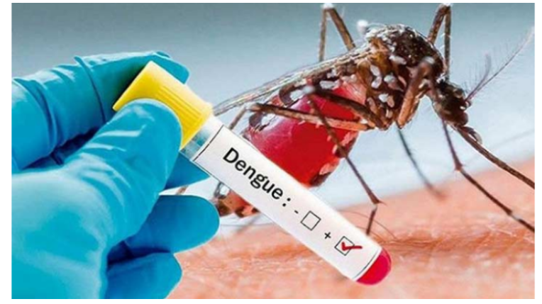 ডেঙ্গুতে আরও একজনের মৃত্যু, হাসপাতালে ৪৩১