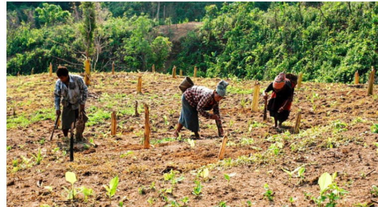 পাহাড়ে চাষ শিখতে বিদেশে প্রশিক্ষণ, খরচ ৬০ লাখ