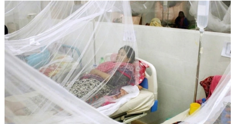 একদিনে হাসপাতালে ৪৬০ ডেঙ্গুরোগী, একজনের মৃত্যু