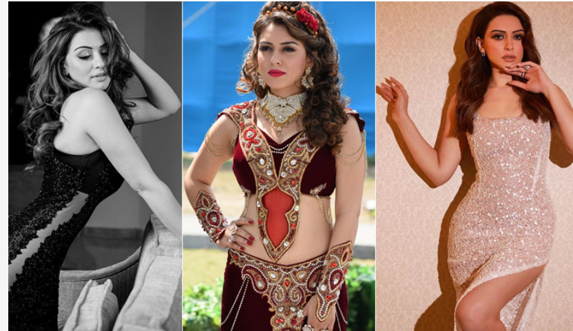 ব্যবসায়িক পার্টনারের সঙ্গে হংসিকার বিয়ে