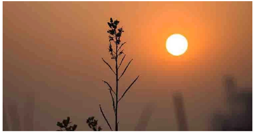 দিন ও রাতের তাপমাত্রা অপরিবর্তিত থাকতে পারে