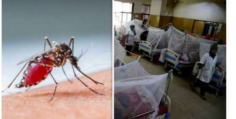 ডেঙ্গুতে রেকর্ড ৯ মৃত্যু, হাসপাতালে আরও ৮৮২ রোগী