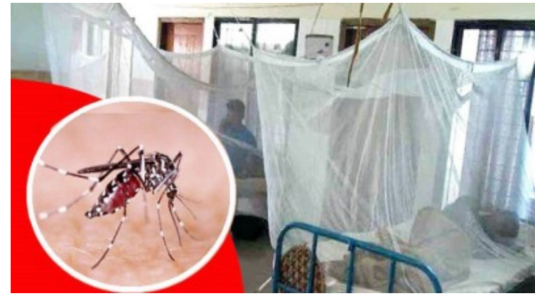 ডেঙ্গুতে আরও ৫ মৃত্যু, হাসপাতালে ভর্তি ৭৮৮