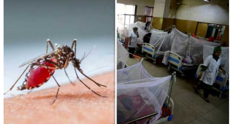 ডেঙ্গুতে আরও ৫ মৃত্যু, হাসপাতালে ভর্তি ৮২০