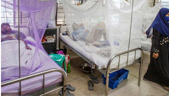 ডেঙ্গুতে মৃত্যু ২শ ছাড়াল, হাসপাতালে আরও ৮৫৯ রোগী