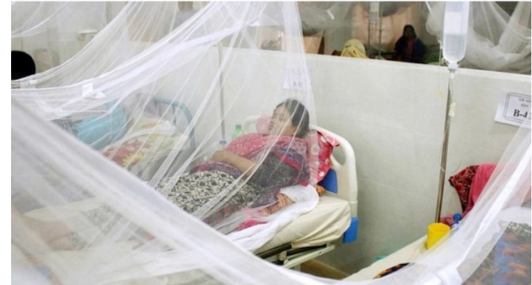 ডেঙ্গুতে ৮ জনের মৃত্যু, হাসপাতালে ৬৯২ রোগী