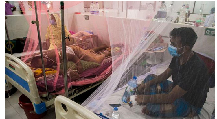 ডেঙ্গিতে আরও তিনজনের মৃত্যু, হাসপাতালে ভর্তি ২৫০ রোগী