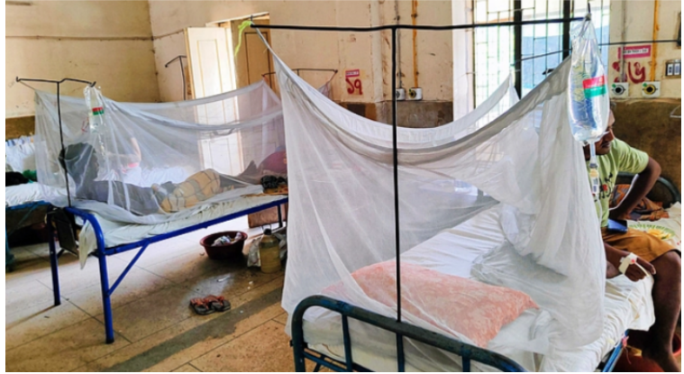 একদিনে ৫৫৯ ডেঙ্গুরোগী হাসপাতালে, মৃত্যু ৬