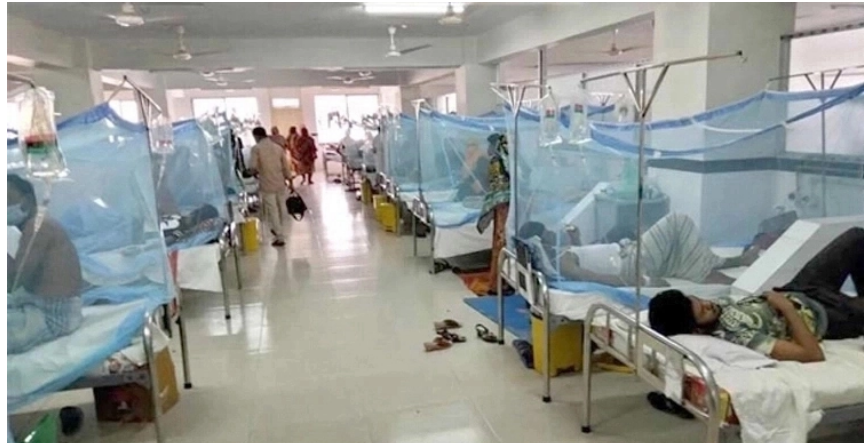 ডেঙ্গুতে আরও ৪ মৃত্যু, হাসপাতালে ভর্তি ৬৪৬ জন