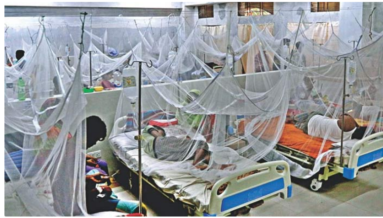 ২৪ ঘণ্টায় ডেঙ্গুতে মৃত্যু ৩, হাসপাতালে ভর্তি ৫১৫