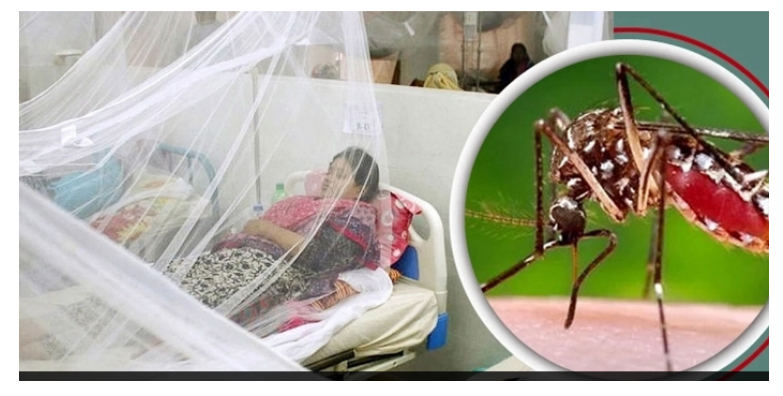 ডেঙ্গুতে আরও ৩ জনের মৃত্যু, হাসপাতালে ৪৭৭ রোগী