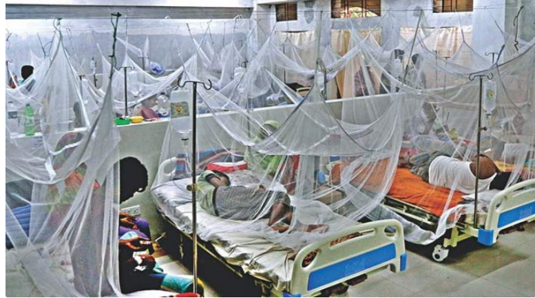 ডেঙ্গু: আরও ১ মৃত্যু, হাসপাতালে ভর্তি ৫১৯