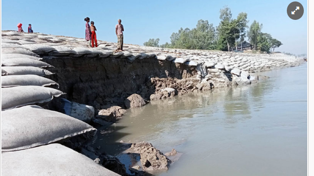 ধুনটে অসময়ে যমুনার তীর রক্ষা বাঁধে ভাঙন