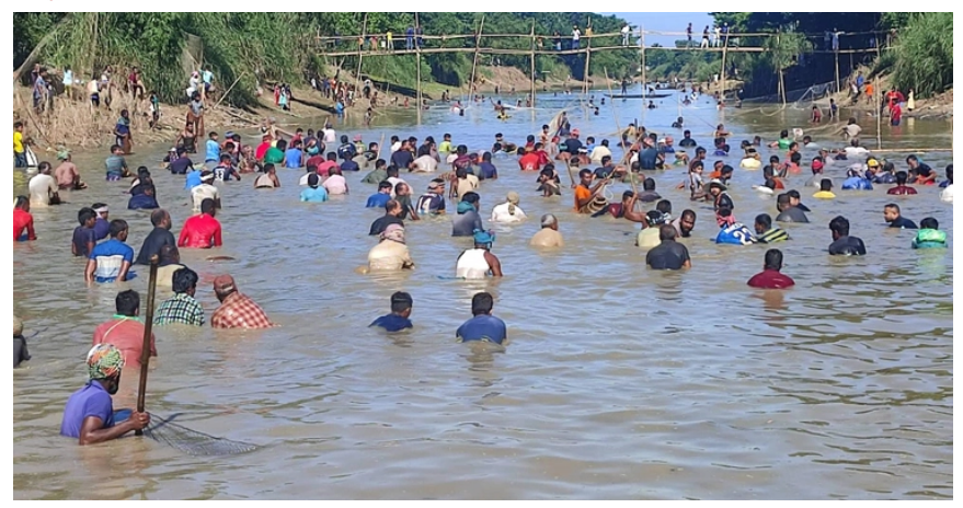 জুড়ীতে মাছ শিকারের উৎসব ‘পলোবাইচ’