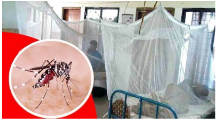 ডেঙ্গুতে আরও ৩ মৃত্যু, হাসপাতালে ভর্তি ৫২৩