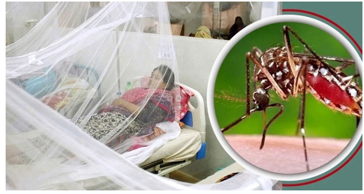ডেঙ্গুতে ৩ মৃত্যুর দিনে হাসপাতালে ভর্তি ৪৩৬ রোগী