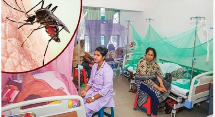 ডেঙ্গুতে আরও ২ মৃত্যু, হাসপাতালে ২৫৩