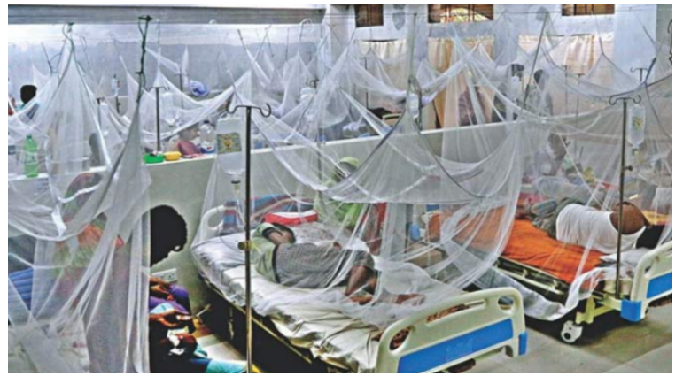 ডেঙ্গু: আরও ৩ মৃত্যু, হাসপাতালে ভর্তি ২৪৬